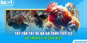 đá gà trực tiếp c3
