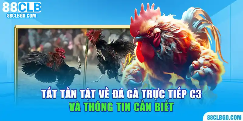 đá gà trực tiếp c3