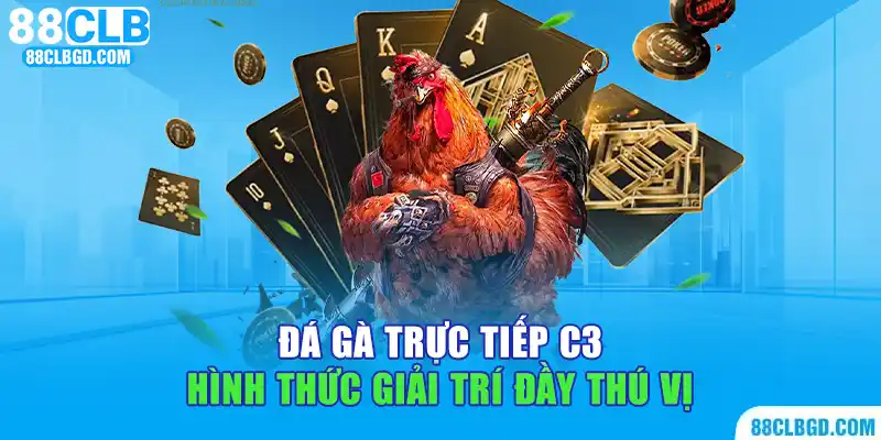 Đá gà trực tiếp C3 - Hình thức giải trí đầy thú vị