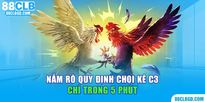 Nắm rõ quy định chọi kê C3 chỉ trong 5 phút