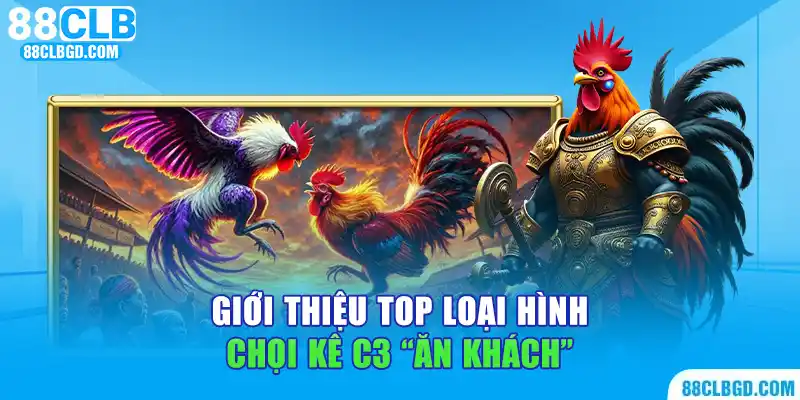 Giới thiệu top loại hình chọi kê C3 “ăn khách”