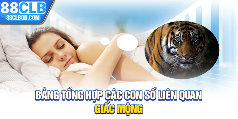 Bảng tổng hợp các con số liên quan giấc mộng