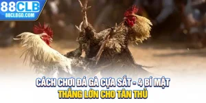 Cách Chơi Đá Gà Cựa Sắt - 4 Bí Mật Thắng Lớn Cho Tân Thủ