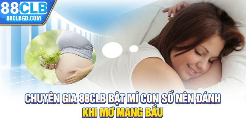 Chuyên gia 88CLB bật mí con số nên đánh khi mơ mang bầu