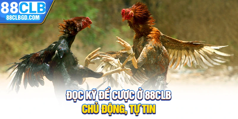 Đọc kỹ để cược ở 88CLB chủ động, tự tin