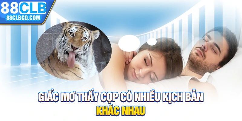 Giấc mơ thấy cọp có nhiều kịch bản khác nhau