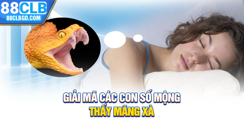 Giải mã các con số mộng thấy mãng xà