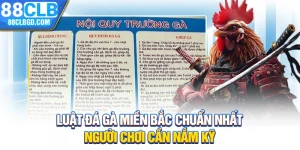 Luật Đá Gà Miền Bắc Chuẩn Nhất Người Chơi Cần Nắm Kỹ