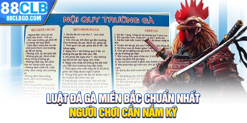 Luật Đá Gà Miền Bắc Chuẩn Nhất Người Chơi Cần Nắm Kỹ