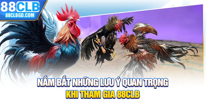 Nắm bắt những lưu ý quan trọng khi tham gia 88CLB