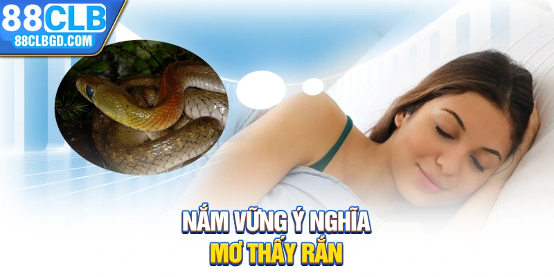 Nắm vững ý nghĩa mơ thấy rắn