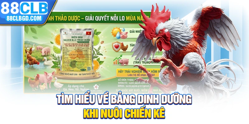 Tìm hiểu về bảng dinh dưỡng khi nuôi chiến kê