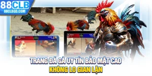 Trang Đá Gà Uy Tín Bảo Mật Cao, Không Lo Gian Lận