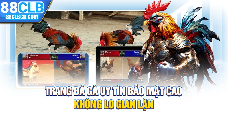 Trang Đá Gà Uy Tín Bảo Mật Cao, Không Lo Gian Lận