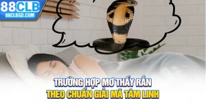 Trường Hợp Mơ Thấy Rắn Theo Chuẩn Giải Mã Tâm Linh