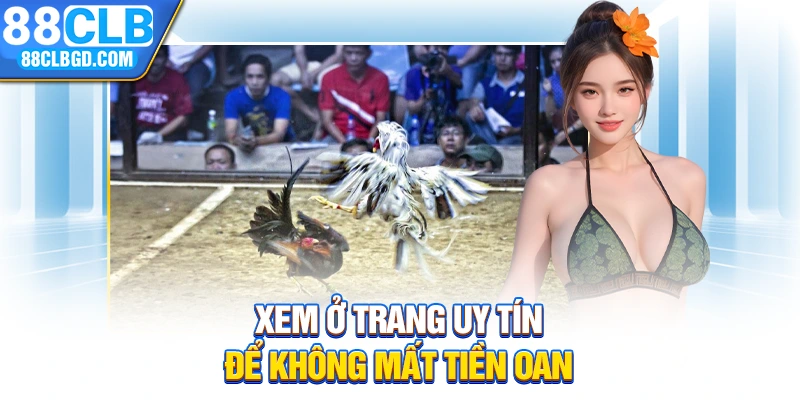 Xem ở trang uy tín để không mất tiền oan