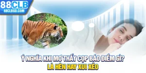 Ý Nghĩa Khi Mơ Thấy Cọp Báo Điềm Gì? Là Hên Hay Xui Xẻo