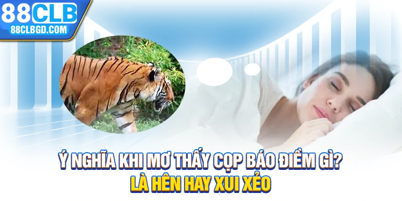 Ý Nghĩa Khi Mơ Thấy Cọp Báo Điềm Gì? Là Hên Hay Xui Xẻo